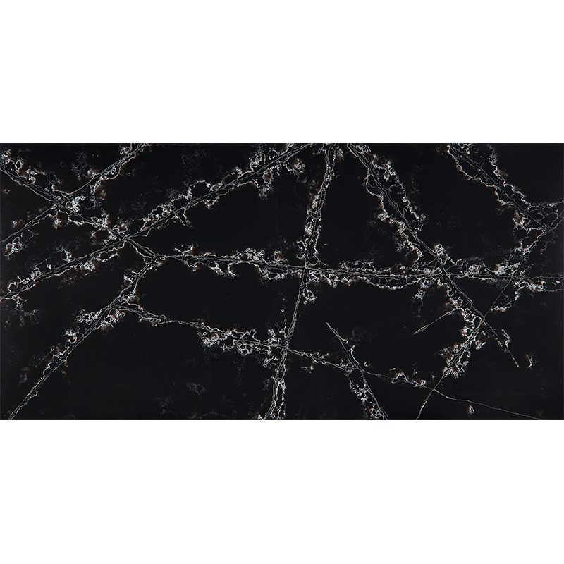 ase500vfdscs1